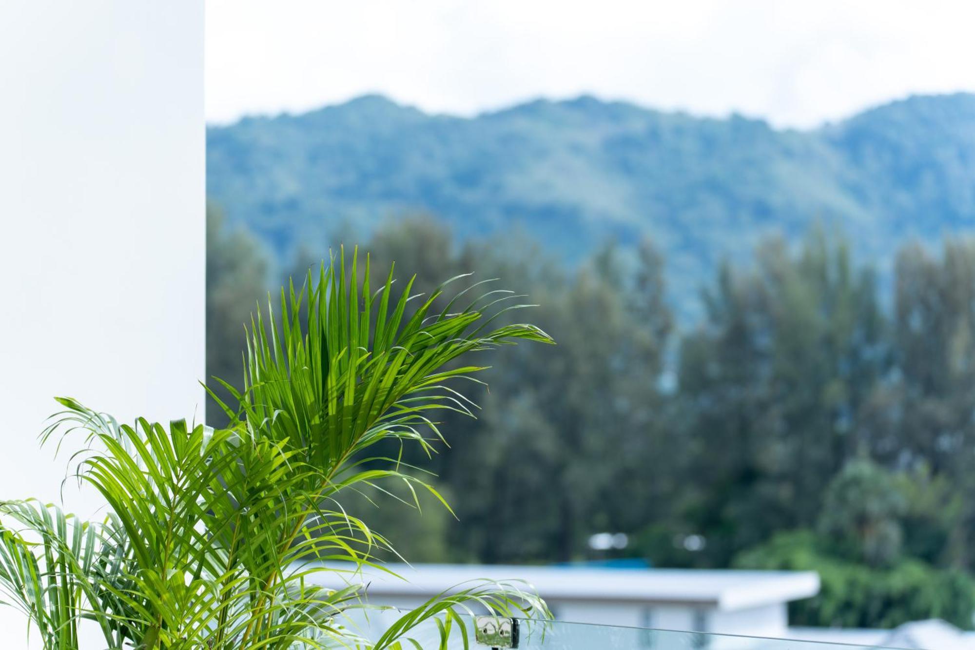 Sole Mio Boutique Hotel And Wellness - Adults Only Bang Tao Beach  Eksteriør billede